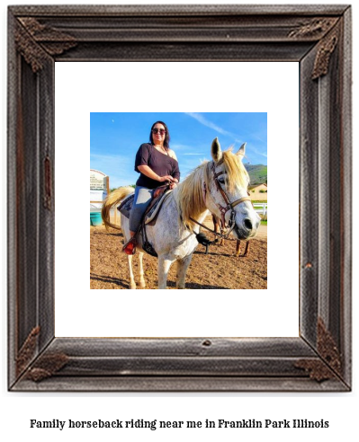 family horseback riding near me in Franklin Park, Illinois